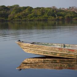 Acre Accommodation San Jose