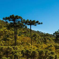 Parana Accommodation San Jose