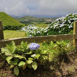 Serra Gaucha Accommodation San Jose