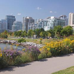 Mississauga Accommodation San Jose