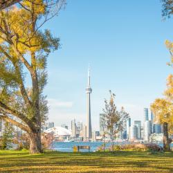 Toronto Accommodation San Jose