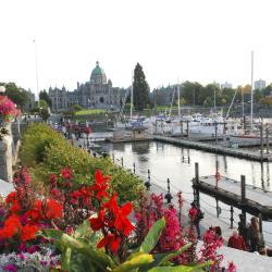 Vancouver Island Accommodation San Jose