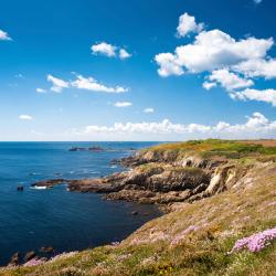 Brittany Accommodation San Jose