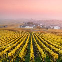 Champagne Accommodation San Jose