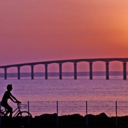 Island of Ré Accommodation San Jose