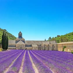Provence Accommodation San Jose