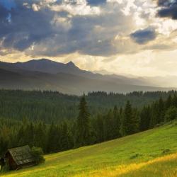 Gmina Bukowina Tatrzanska Accommodation San Jose