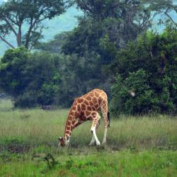Mbarara Accommodation San Jose