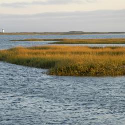 Cape Cod Accommodation San Jose