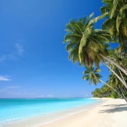 Hawaii Accommodation San Jose