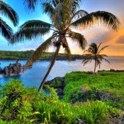 Maui Accommodation San Jose