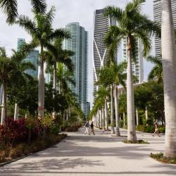 Miami Accommodation San Jose
