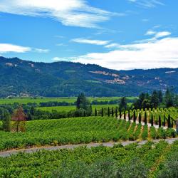 Napa Valley Wine Country Accommodation San Jose