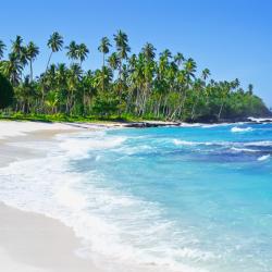 Savaii Accommodation San Jose
