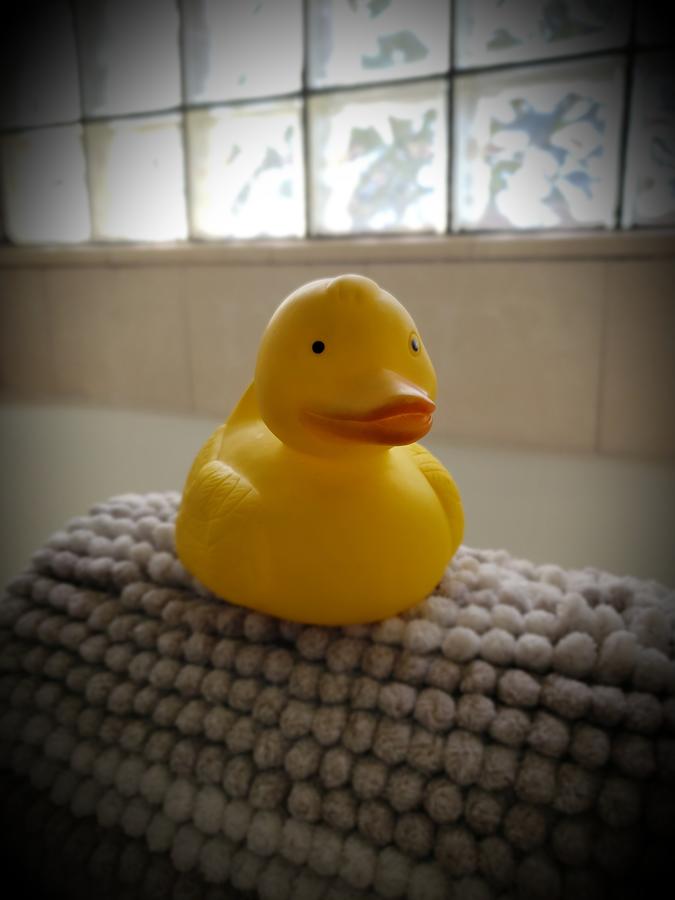 Old Lahaina House - thumb 28