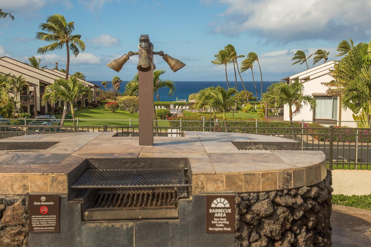 126 Hale Kamaole - thumb 20