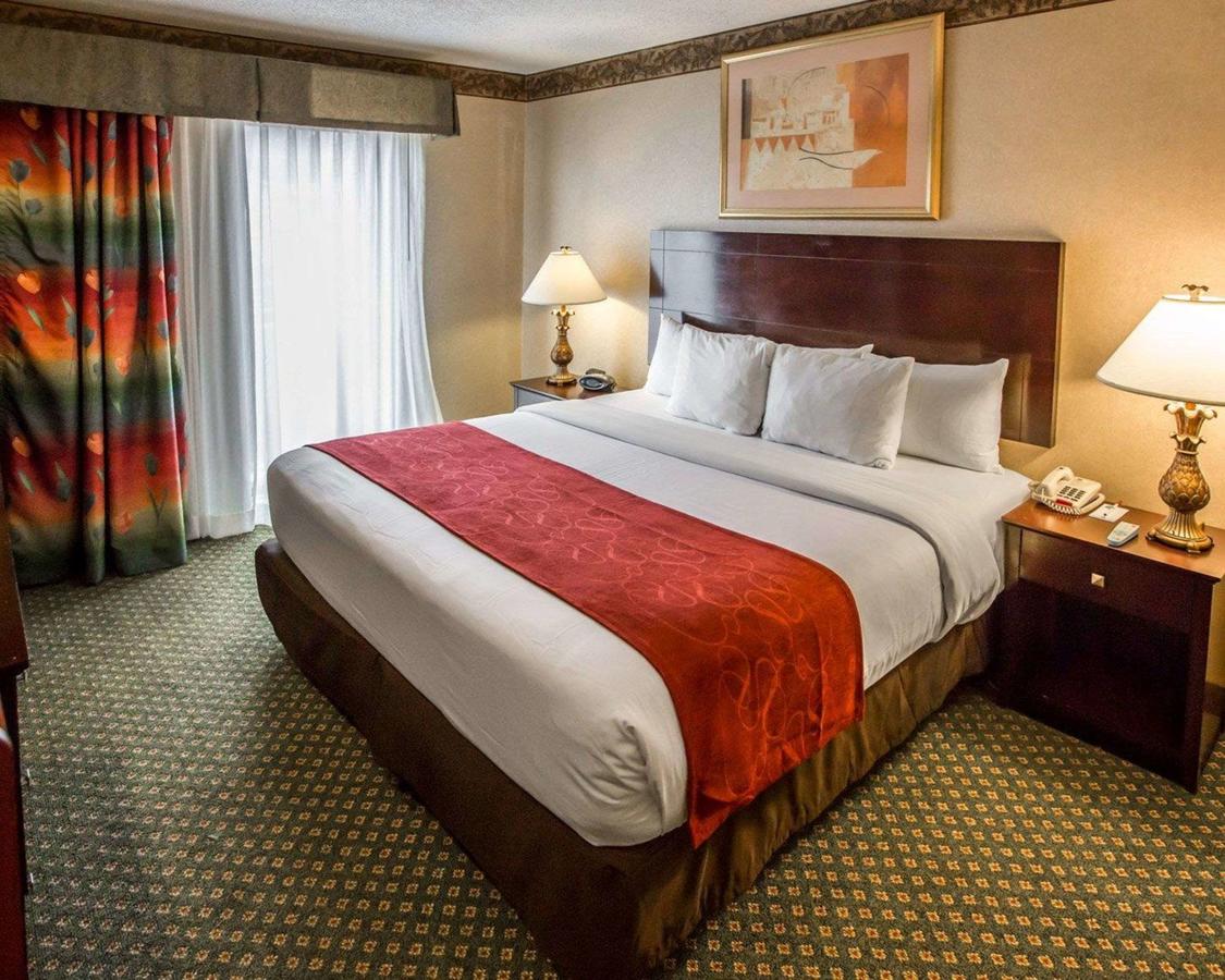 Comfort Suites Chicago - Oakbrook Terrace - thumb 27