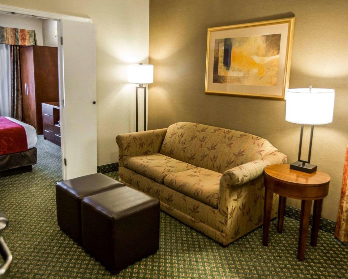 Comfort Suites Chicago - Oakbrook Terrace - thumb 3