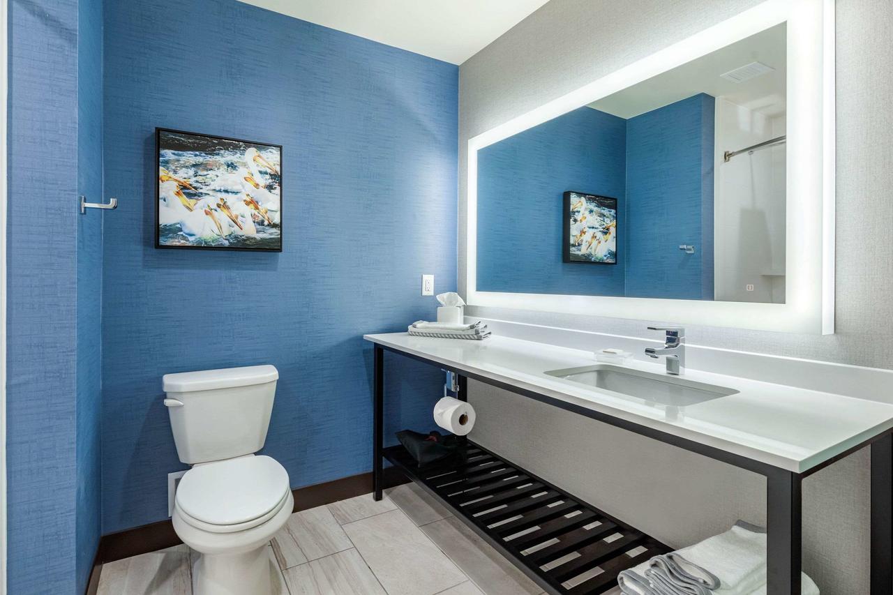 Cambria Hotel Bettendorf - Quad Cities - thumb 20