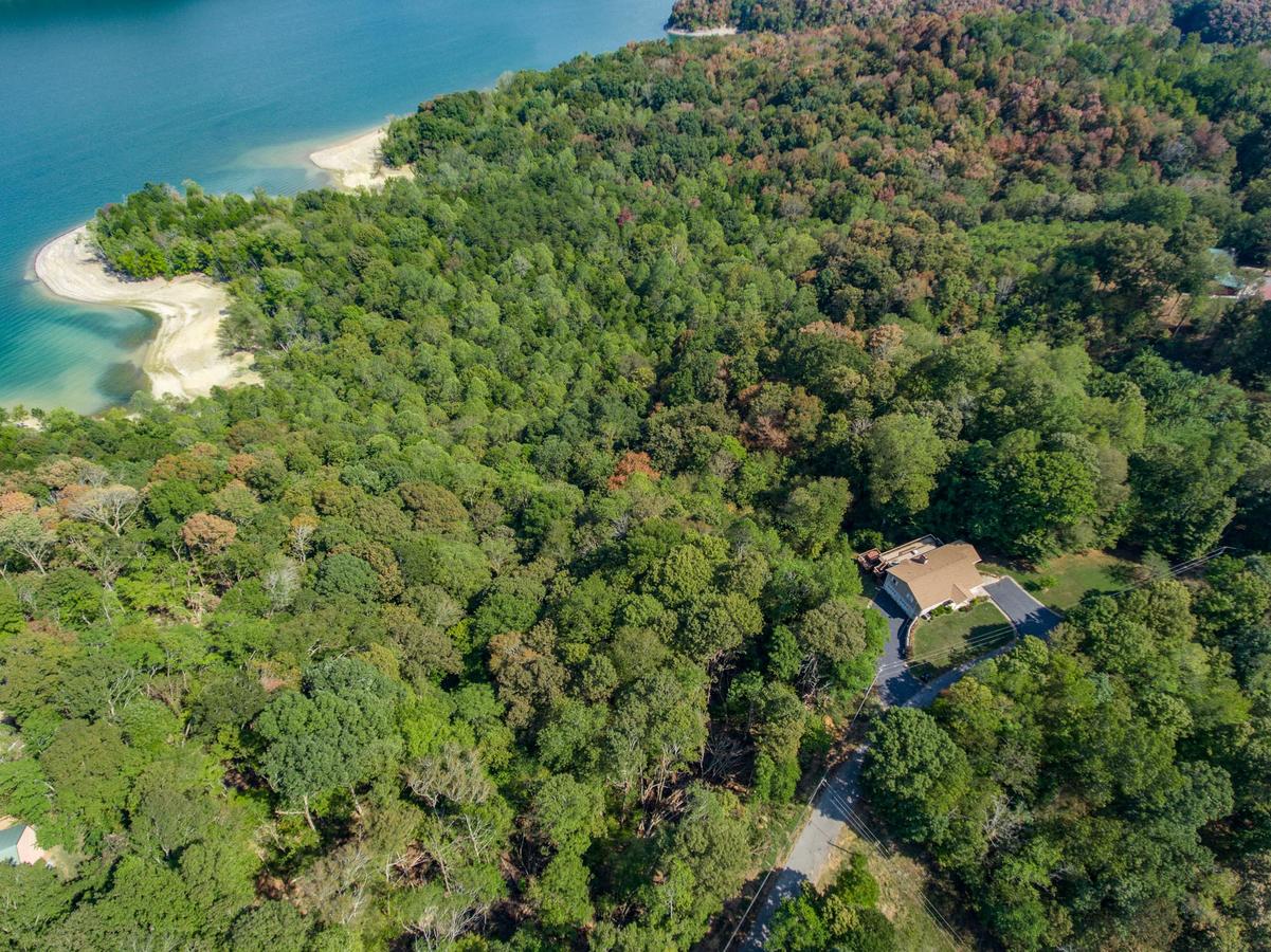 Irish Eagle - thumb 24