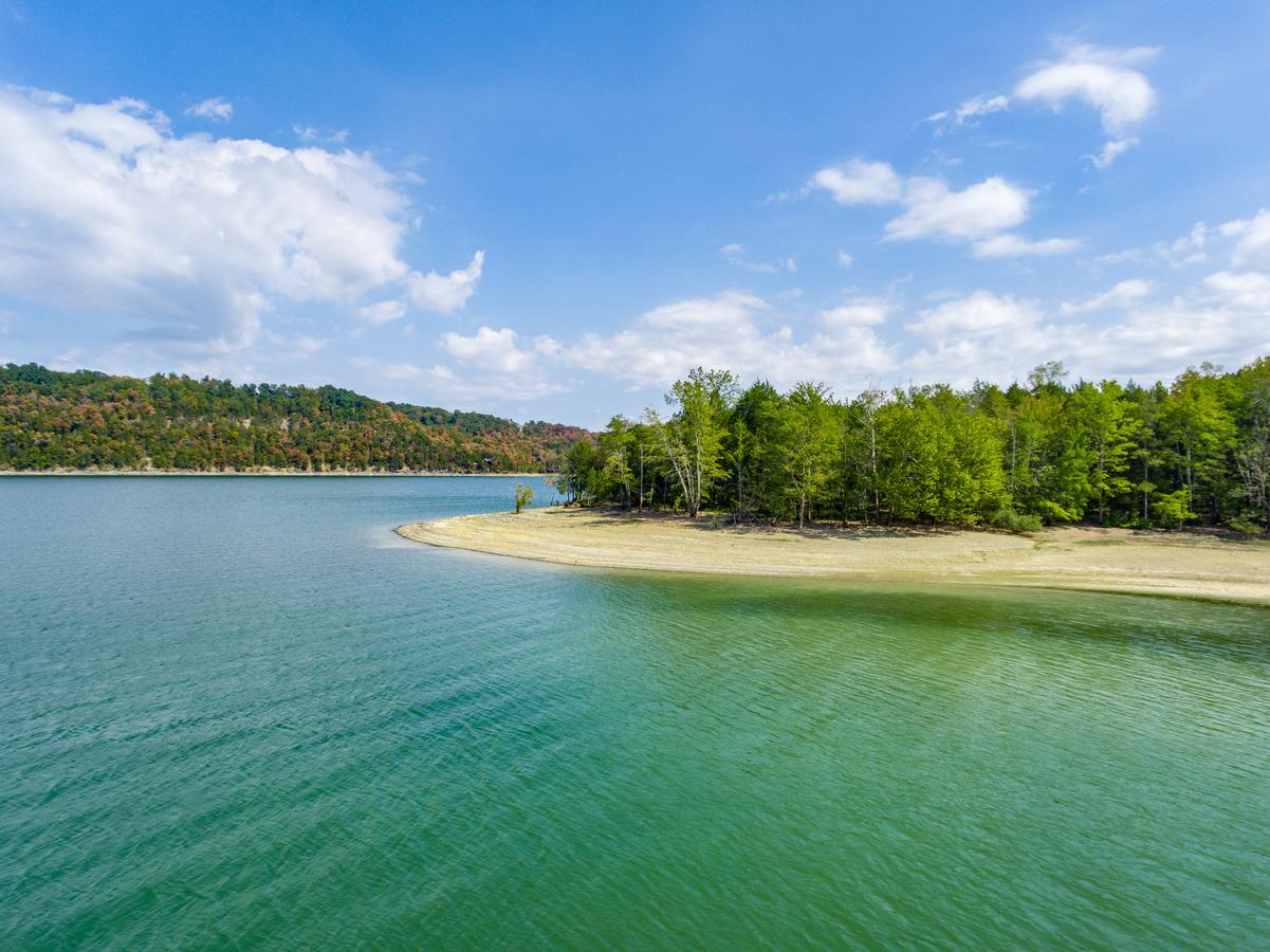 Irish Eagle - thumb 22