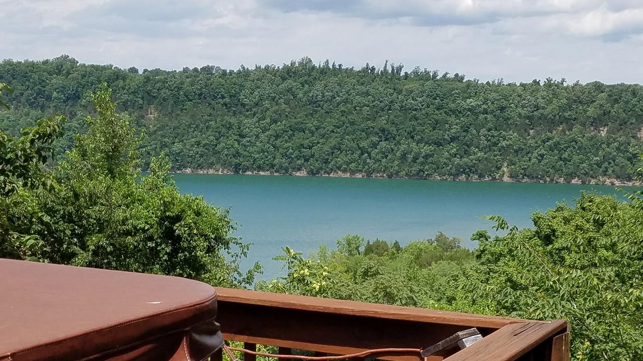 Irish Eagle - thumb 41