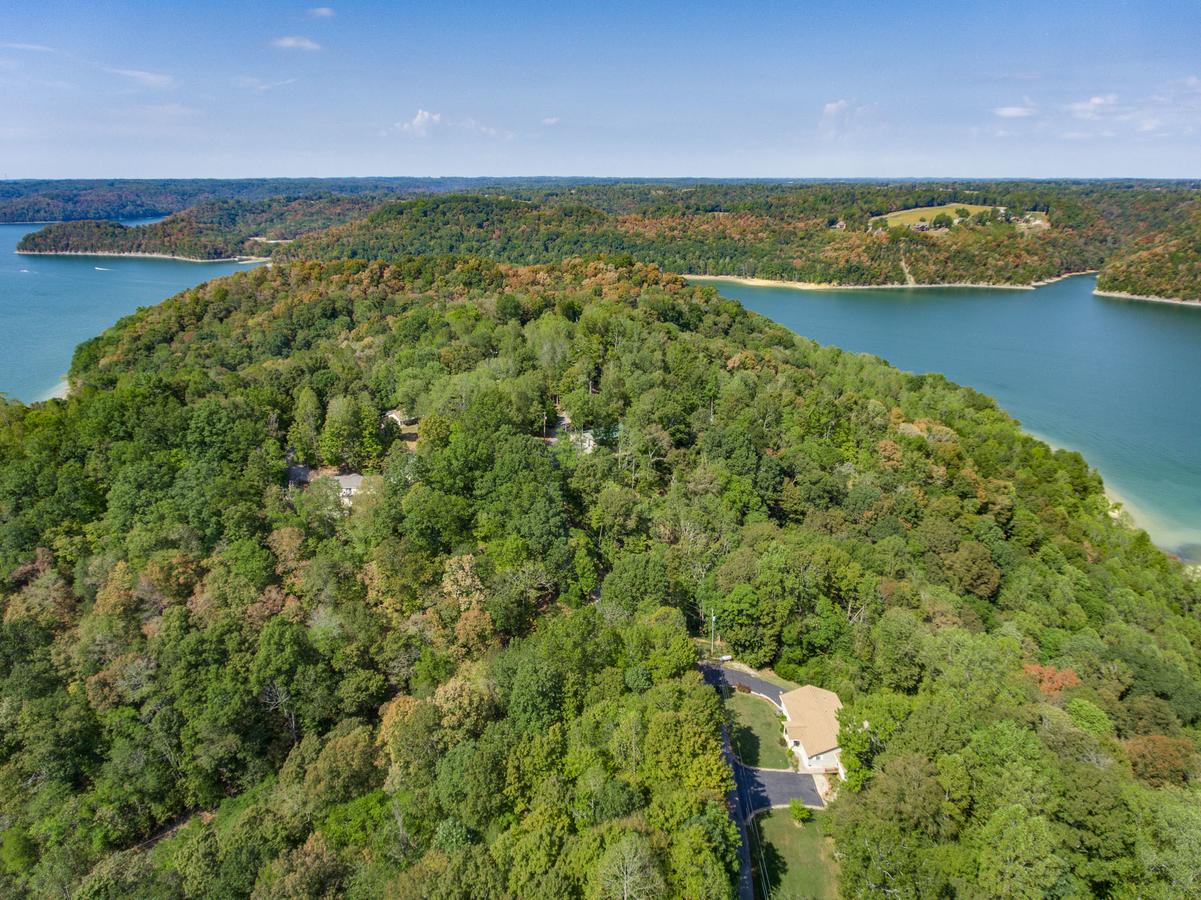 Irish Eagle - thumb 25