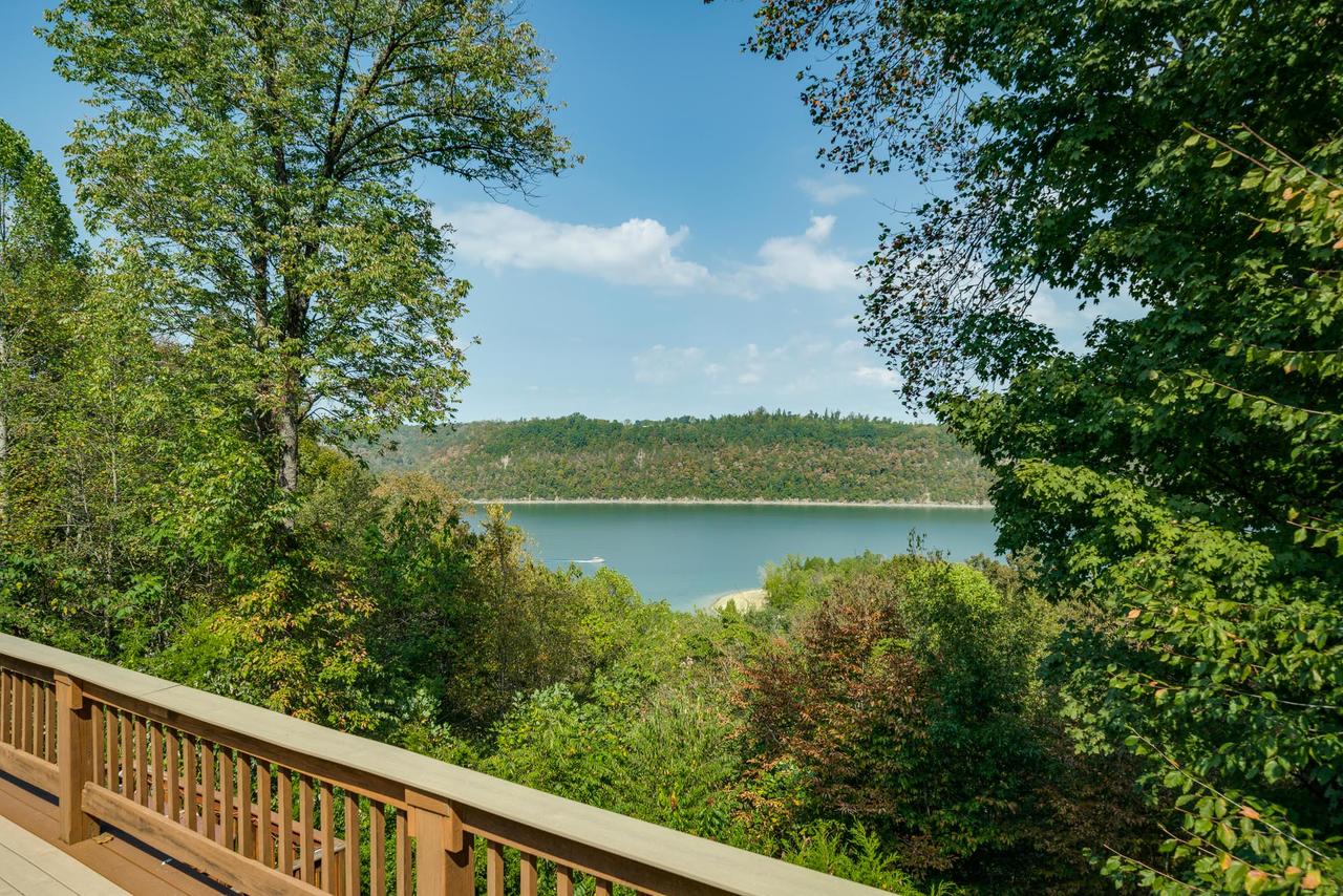 Irish Eagle - thumb 8