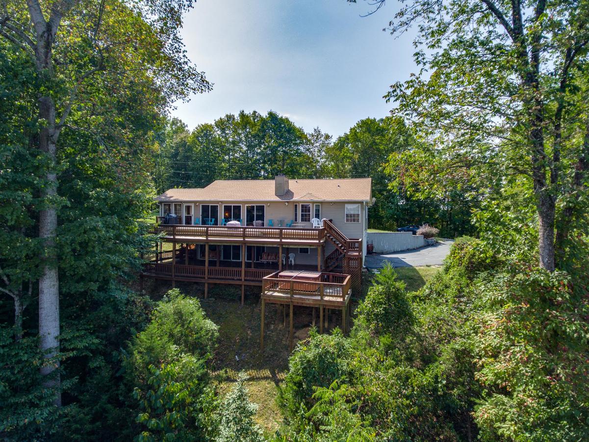 Irish Eagle - thumb 21