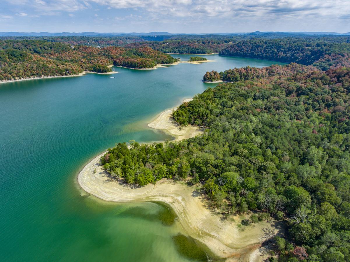 Irish Eagle - thumb 23