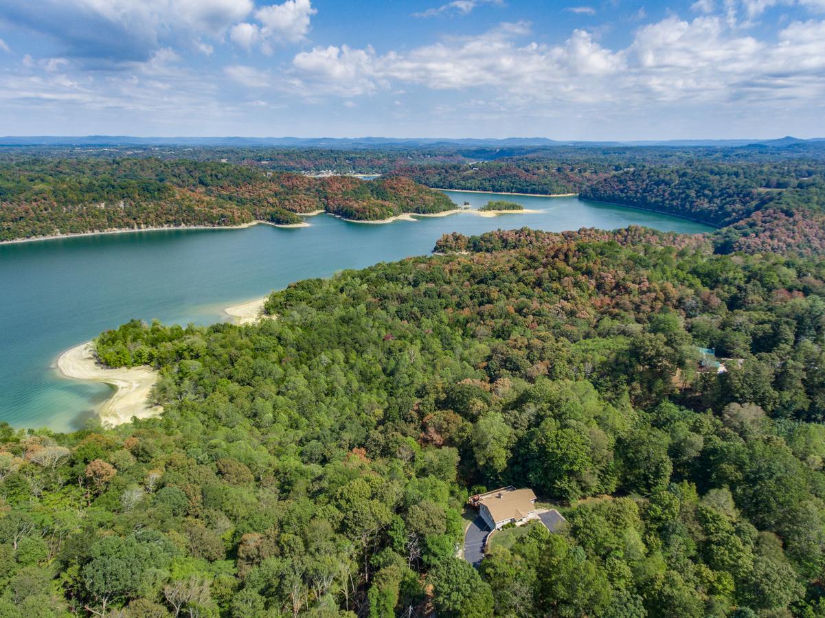 Irish Eagle - thumb 26