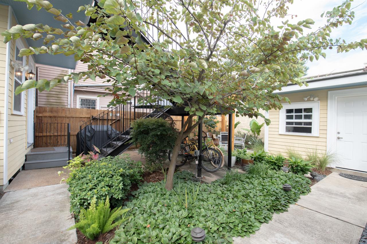 Parrot Palace - thumb 27