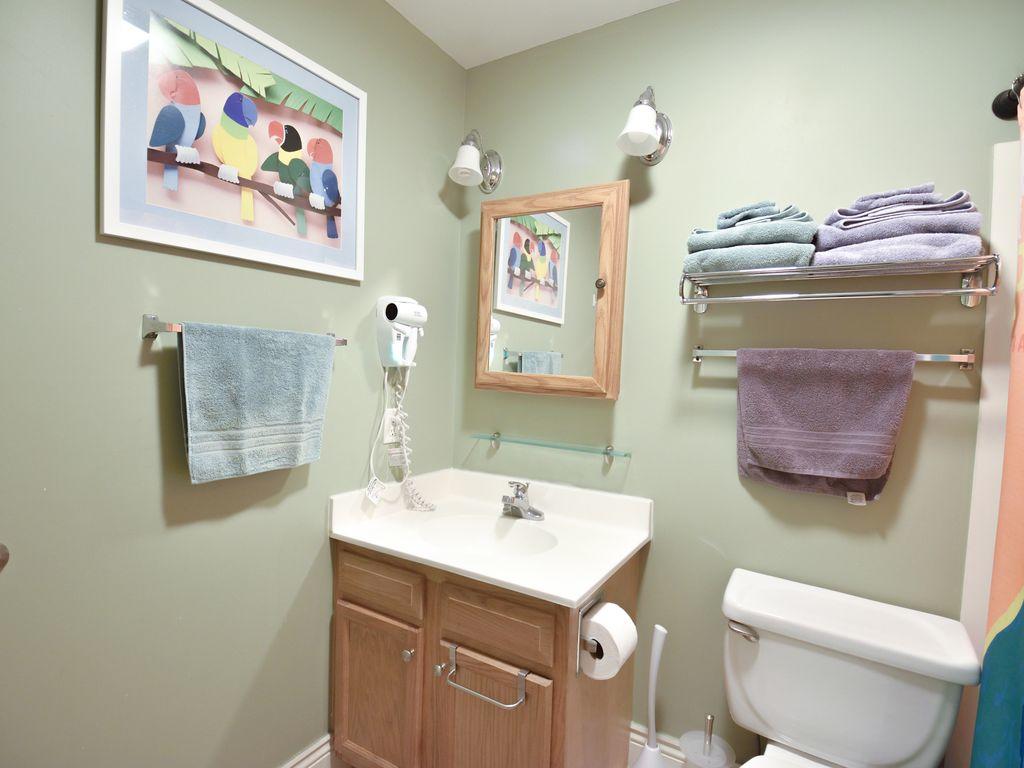 Parrot Palace - thumb 11