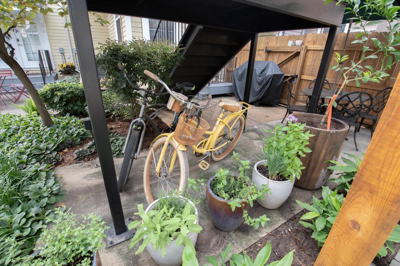 Parrot Palace - thumb 30