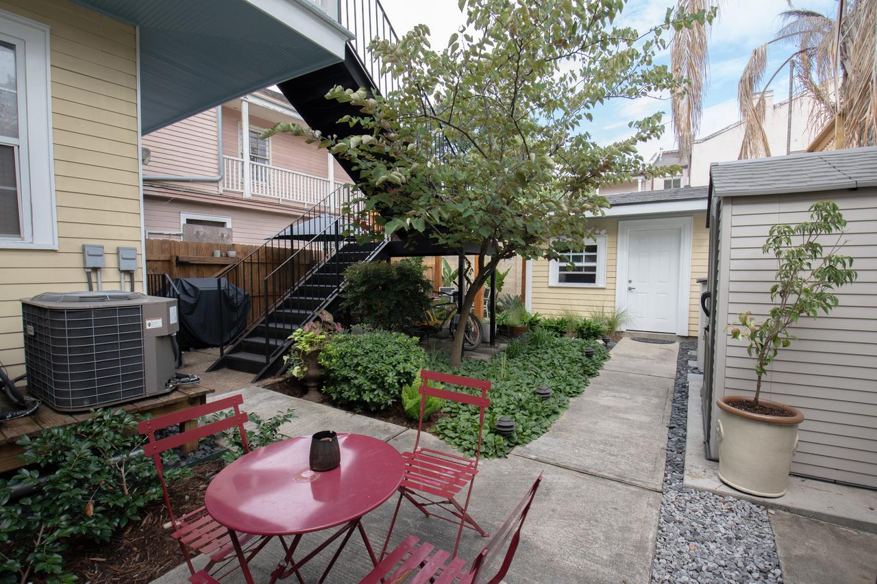 Parrot Palace - thumb 28