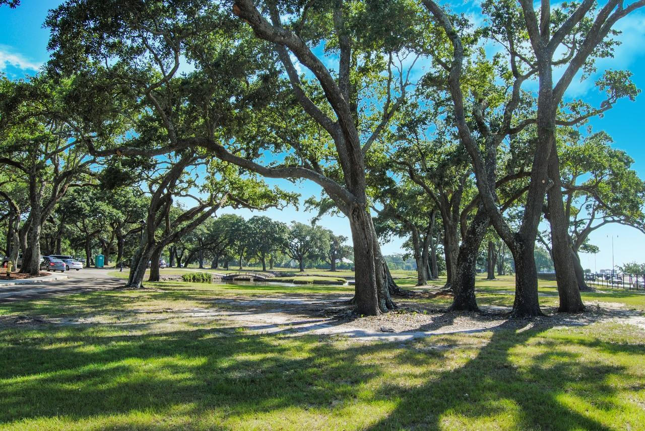 Grand Centennial Gulfport - thumb 16