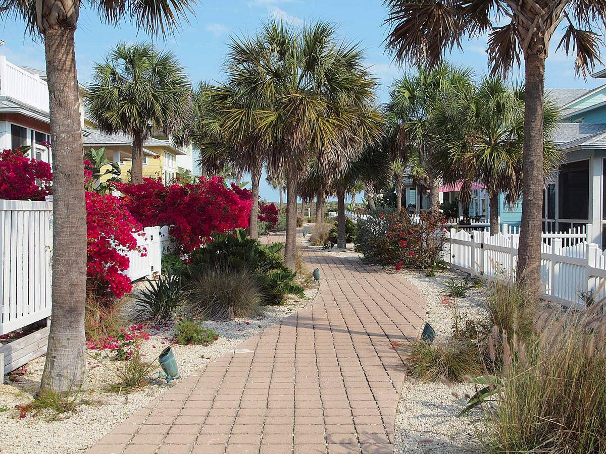 Jack'S Place Vw7 Home - thumb 4