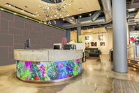 Aloft Harlem Accommodation San Jose