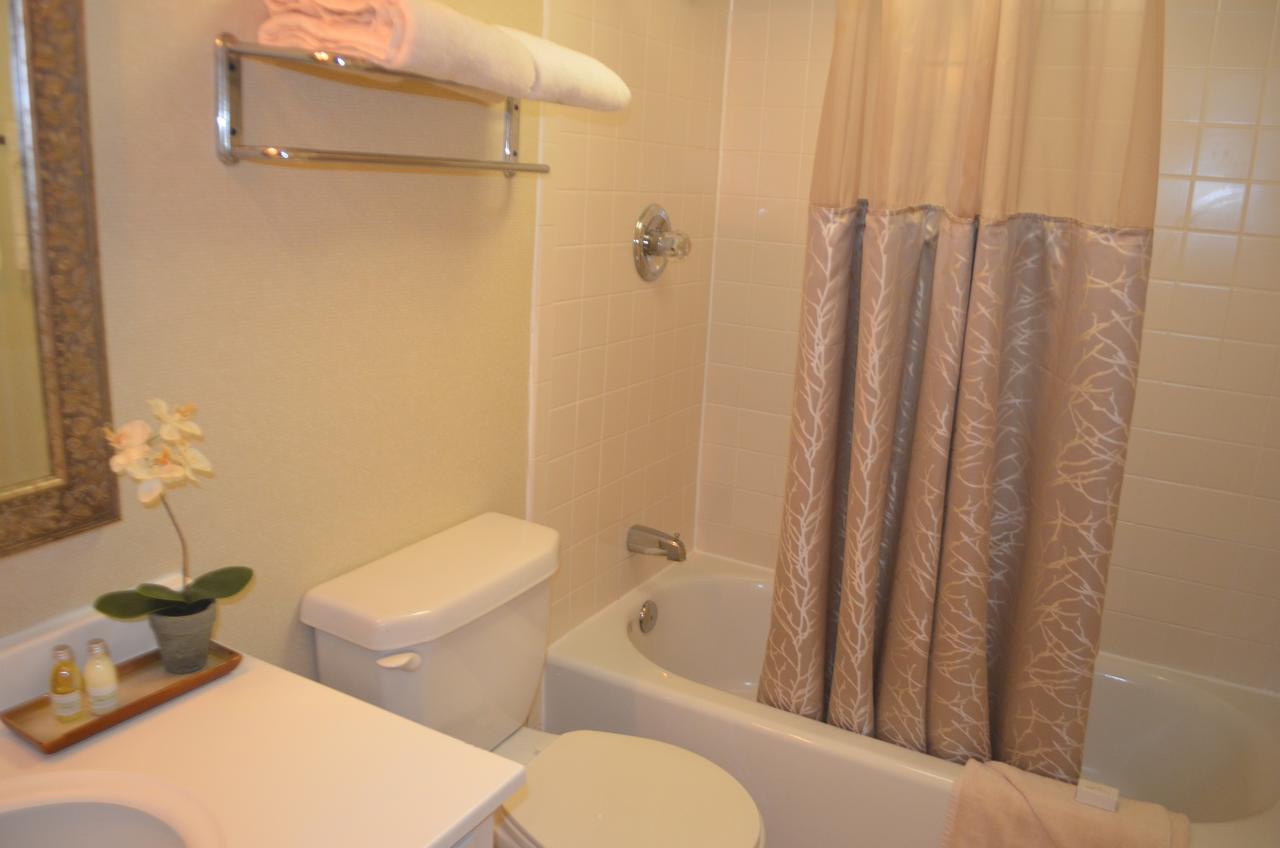 Chapel Hill University Inn - thumb 14