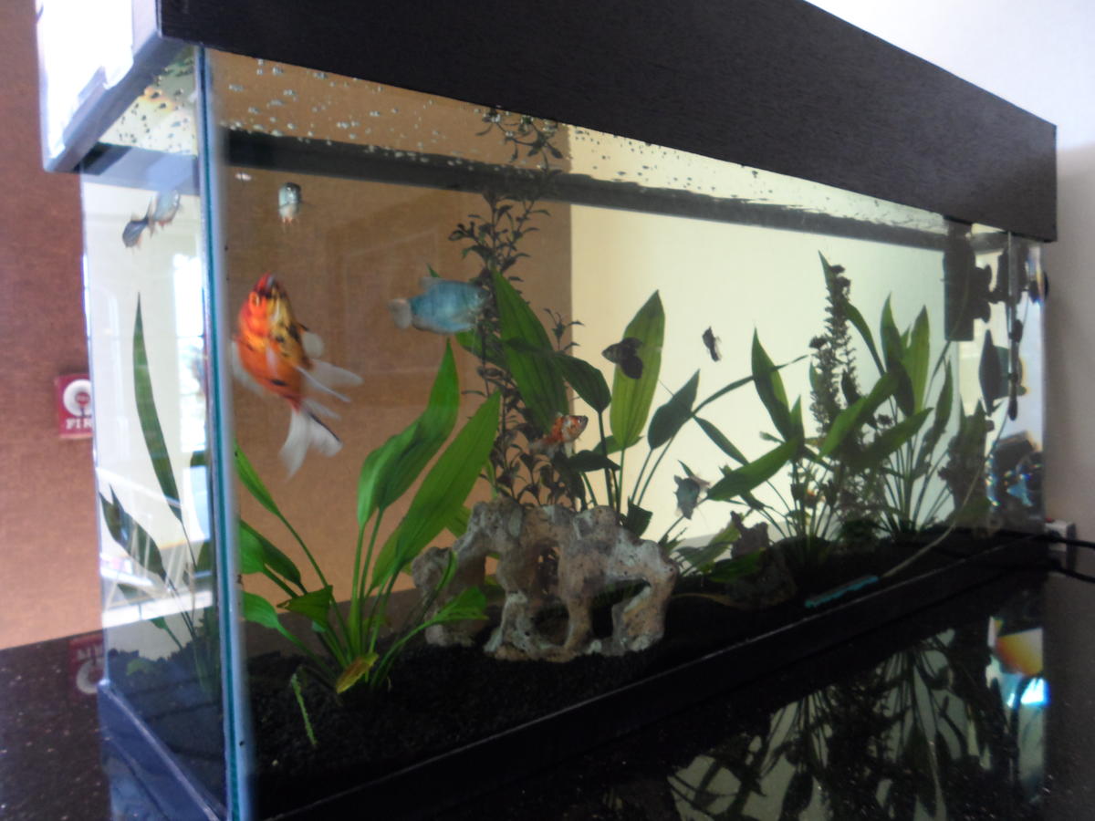 Days Inn By Wyndham Gettysburg - thumb 4