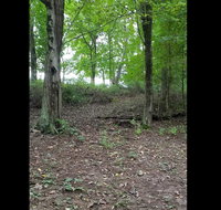 Tentrr - Peaceful by Pigeon Creek - Accommodation San Jose