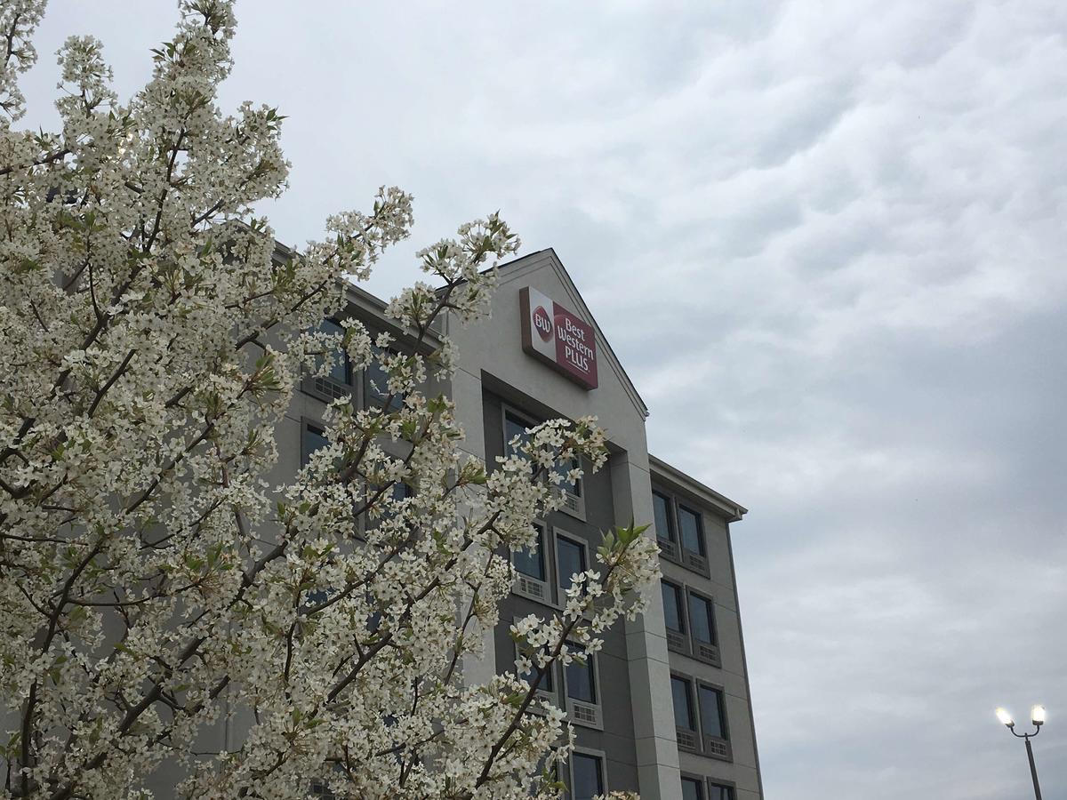 Best Western Plus Spartanburg - thumb 25