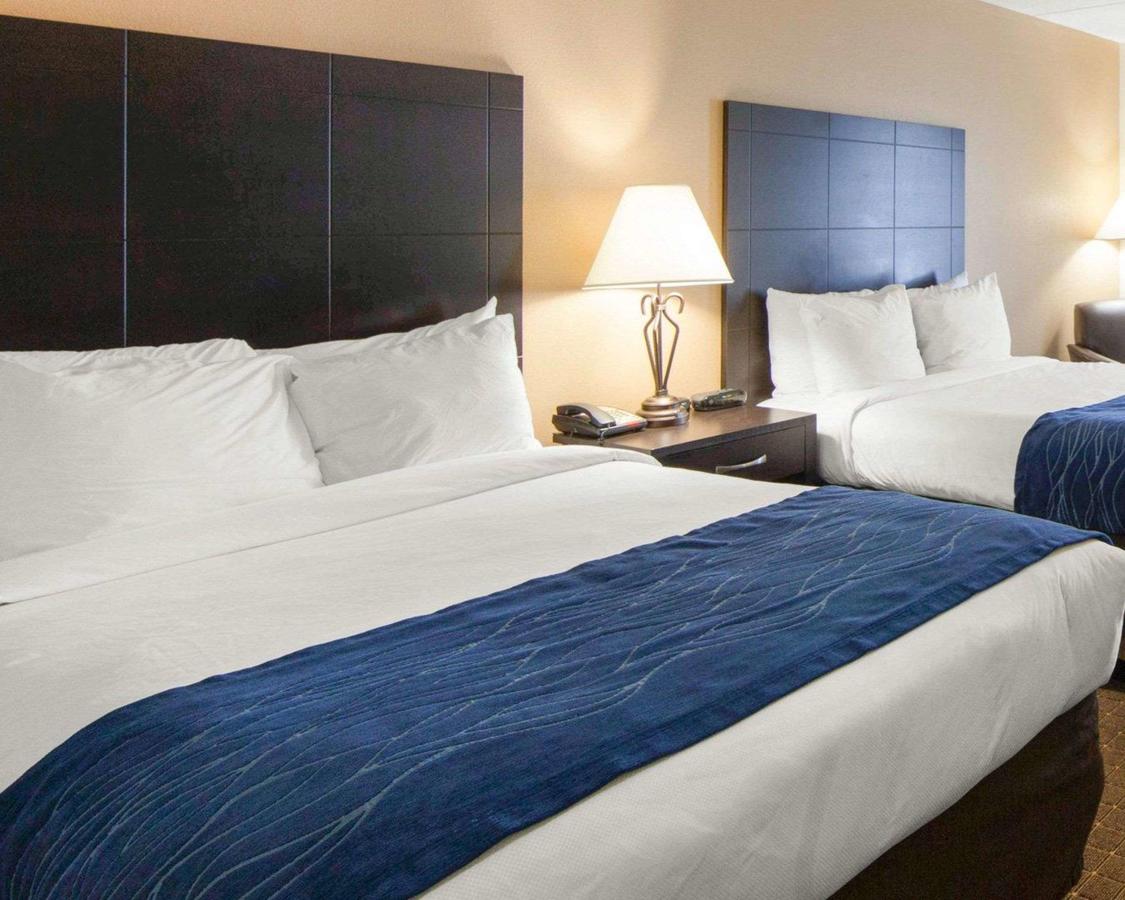 Comfort Inn Oak Ridge - thumb 11