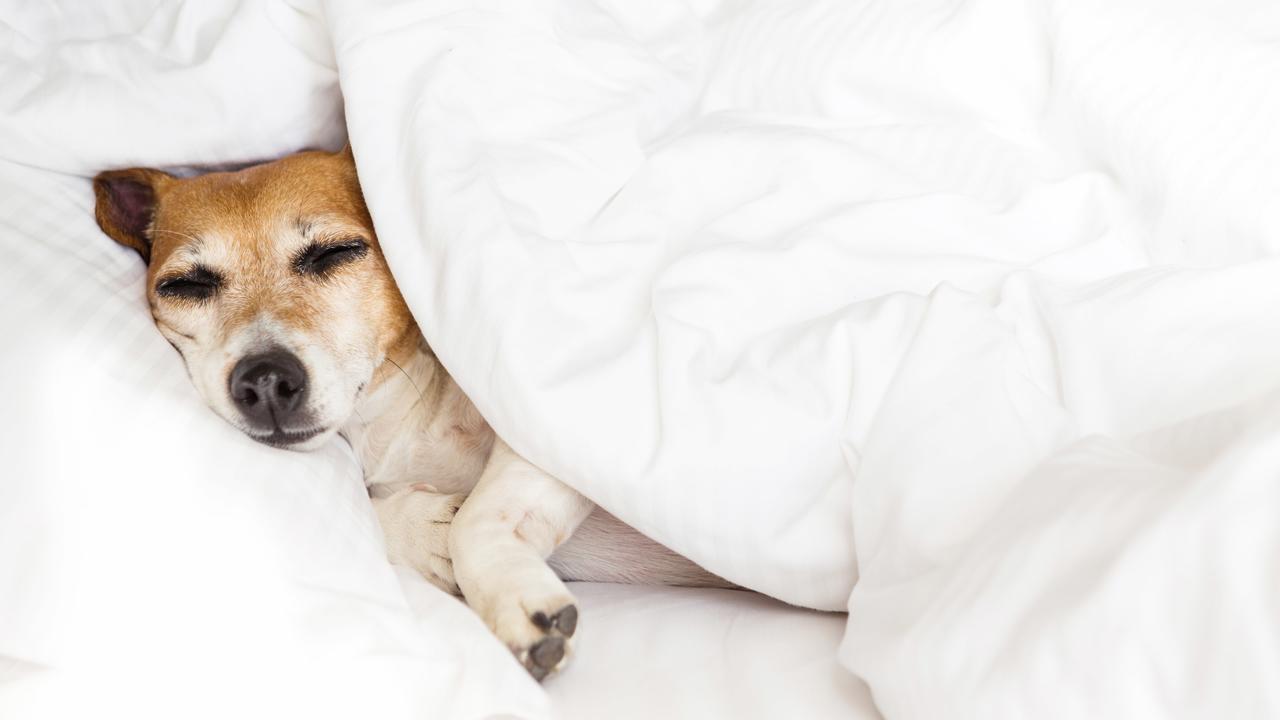 Inn Of Loudon By Magnuson Worldwide - thumb 23