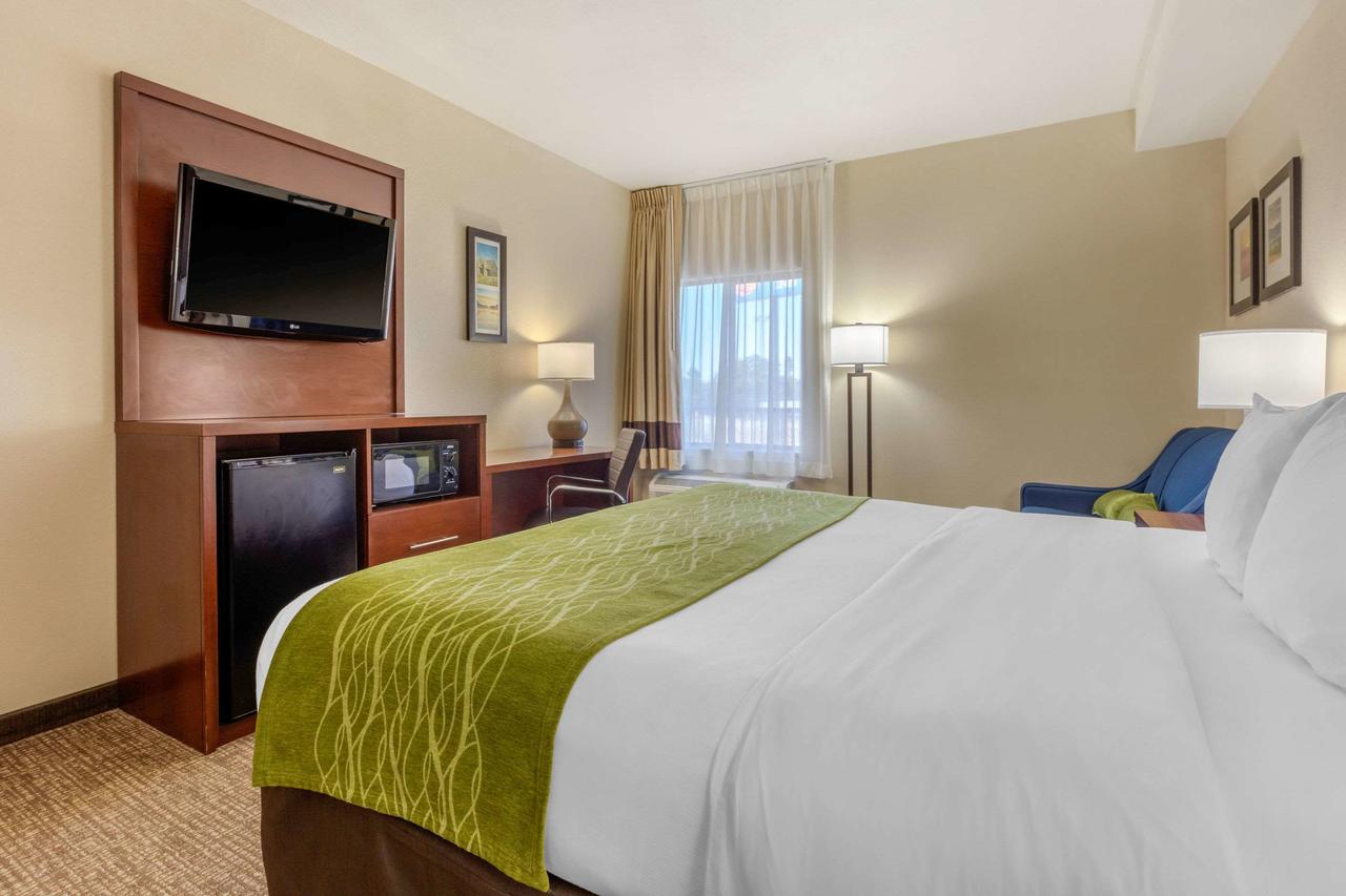 Comfort Inn Lenoir City - thumb 9