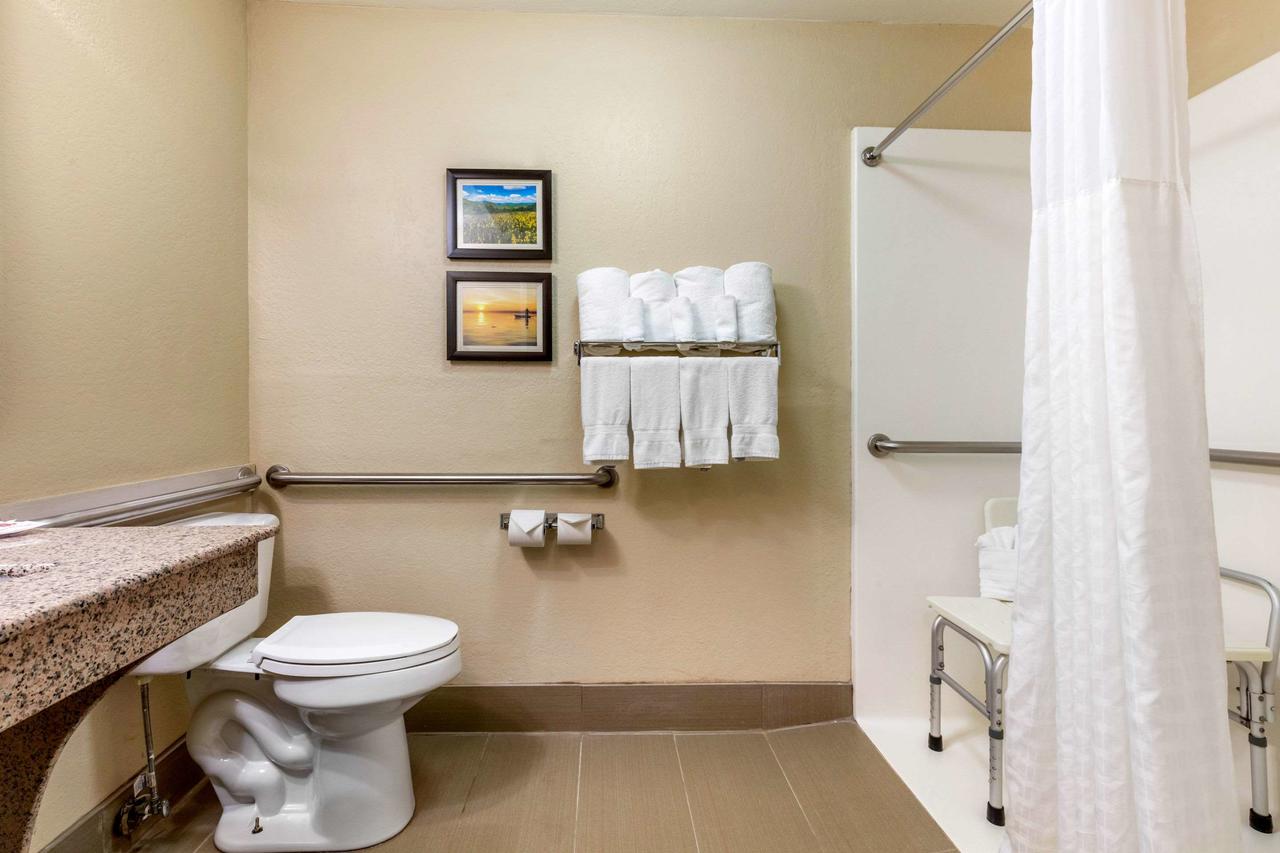 Comfort Inn Lenoir City - thumb 28