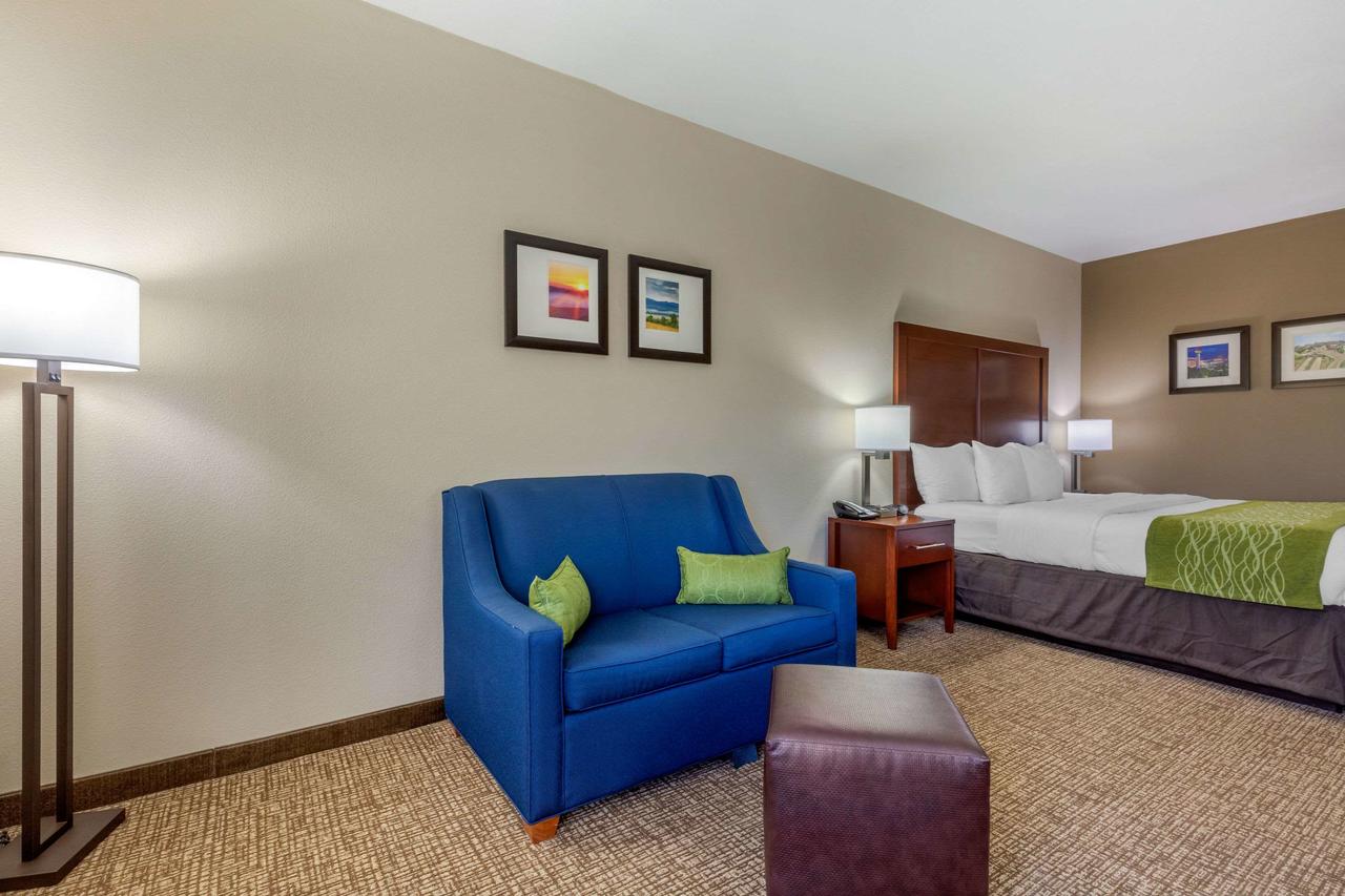 Comfort Inn Lenoir City - thumb 22