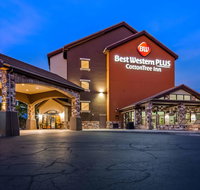 Best Western Plus Cotton Tree Inn - Accommodation San Jose