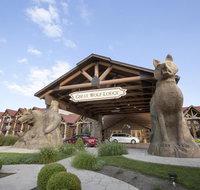 Great Wolf Lodge Williamsburg - Accommodation San Jose