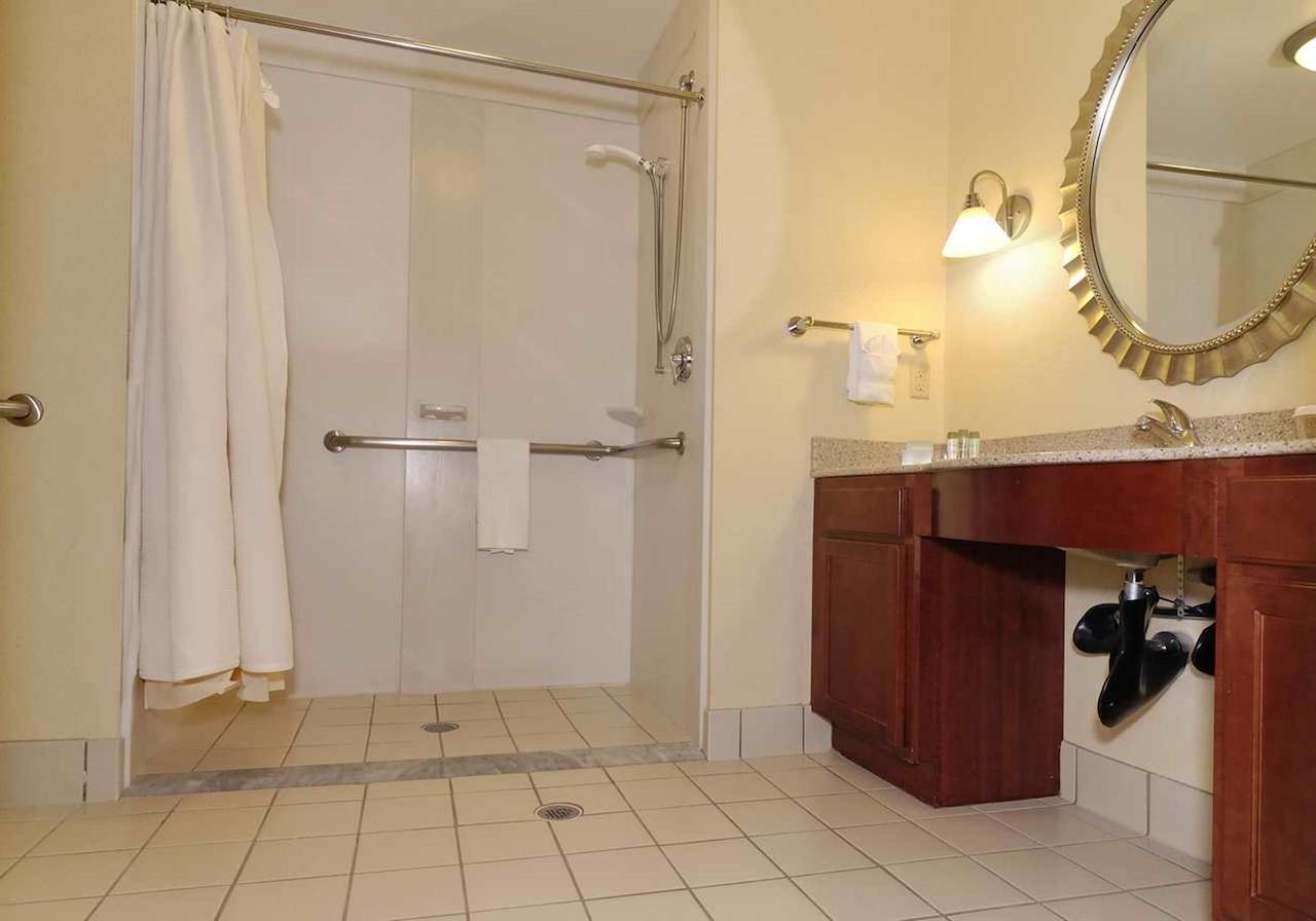 Embassy Suites Dulles - North/Loudoun - thumb 13